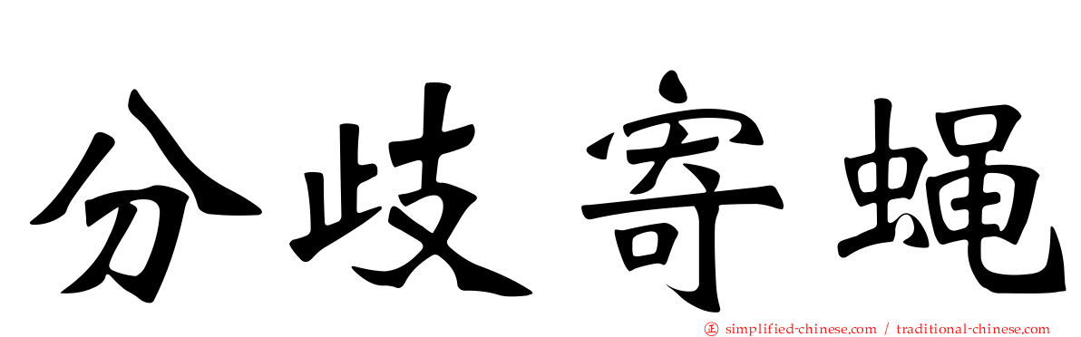 分歧寄蝇