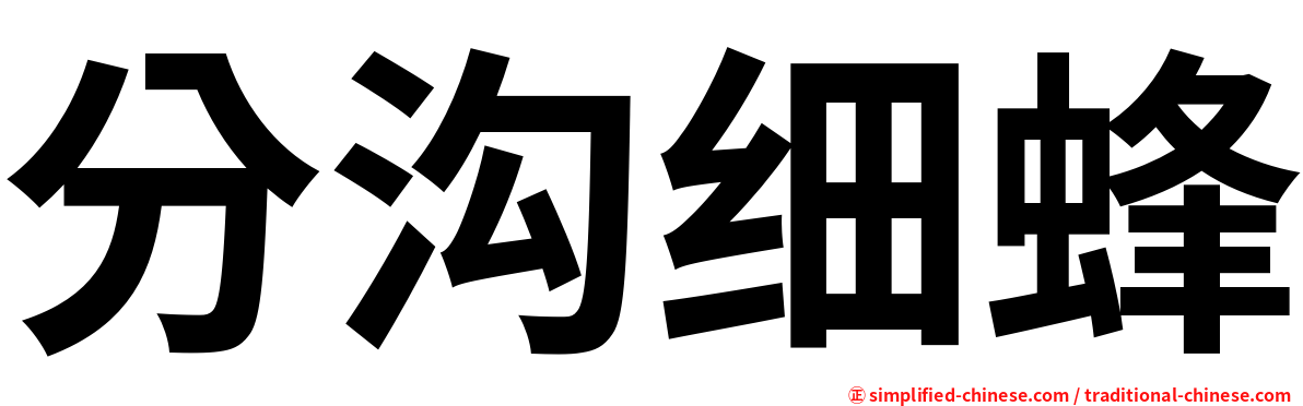 分沟细蜂
