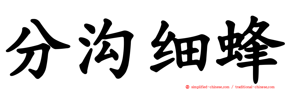 分沟细蜂