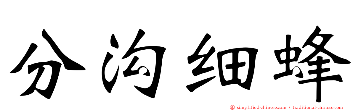 分沟细蜂