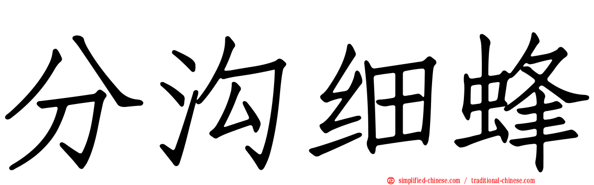 分沟细蜂