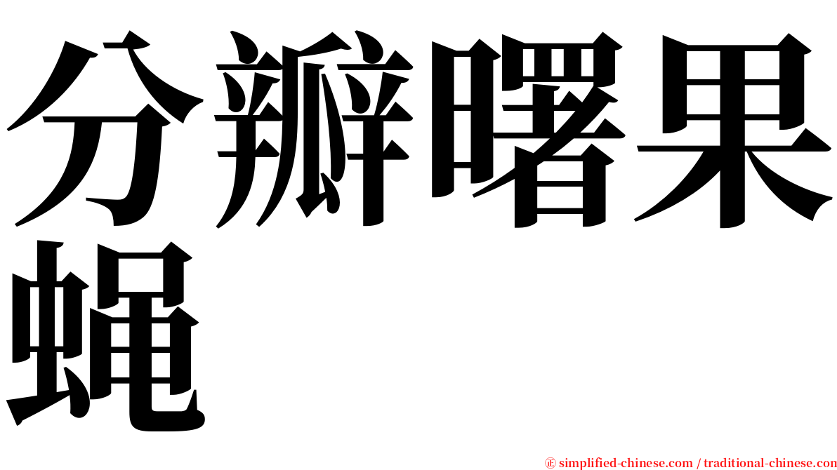 分瓣曙果蝇 serif font