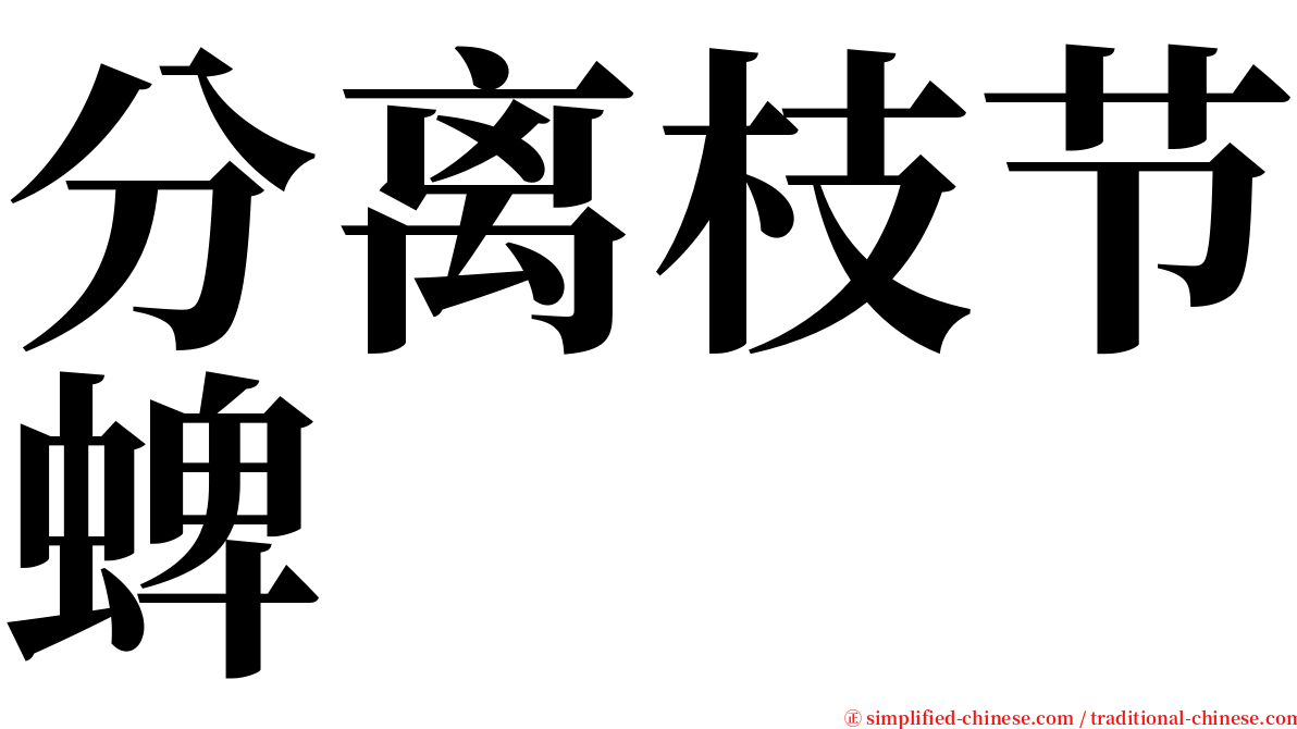 分离枝节蜱 serif font