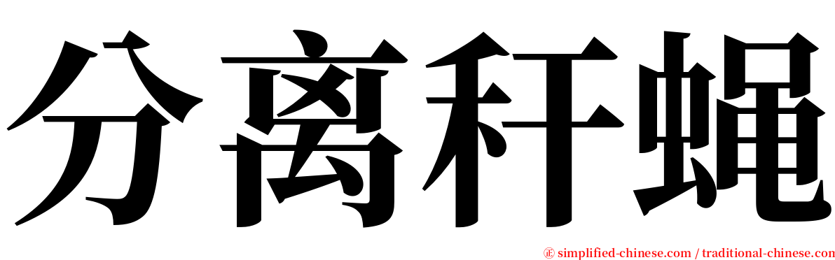 分离秆蝇 serif font