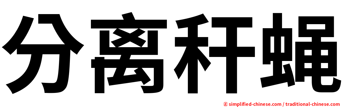 分离秆蝇