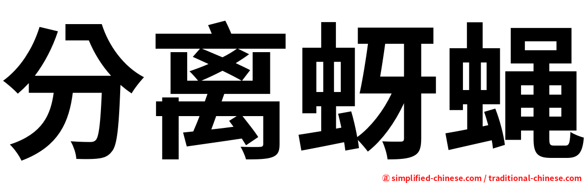 分离蚜蝇