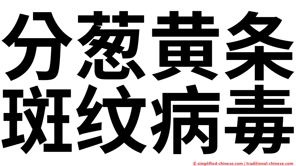 分葱黄条斑纹病毒