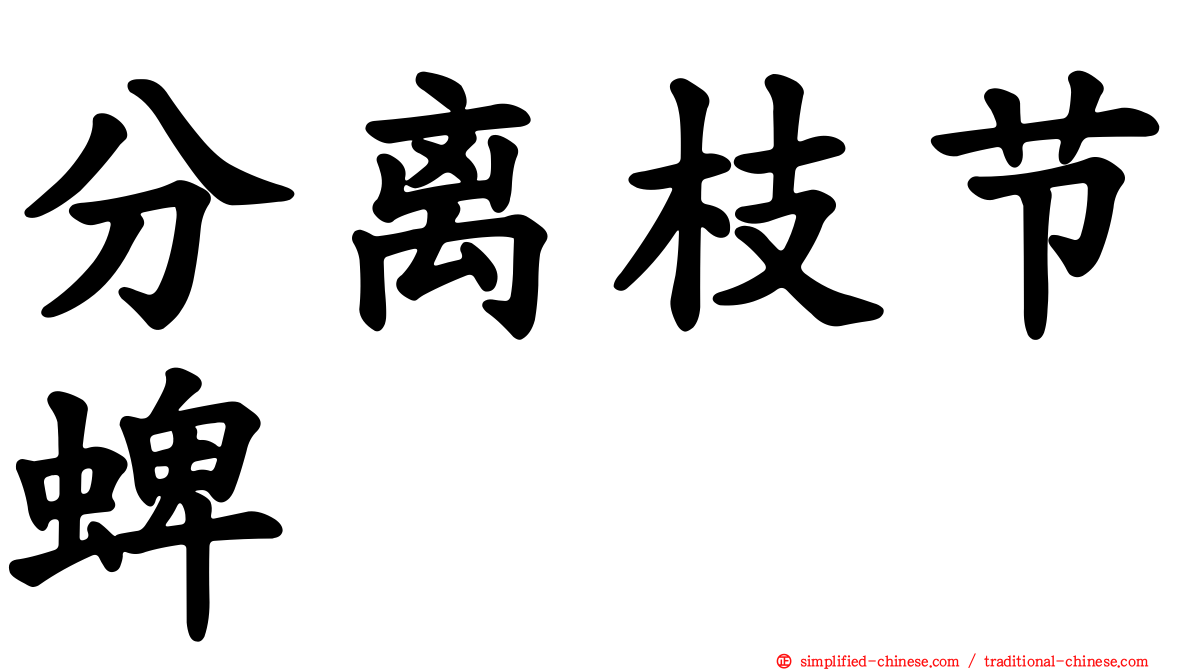 分离枝节蜱