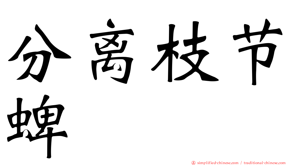 分离枝节蜱