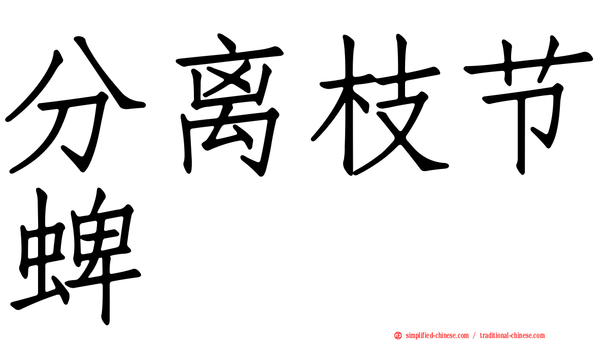 分离枝节蜱