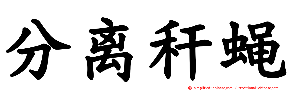 分离秆蝇