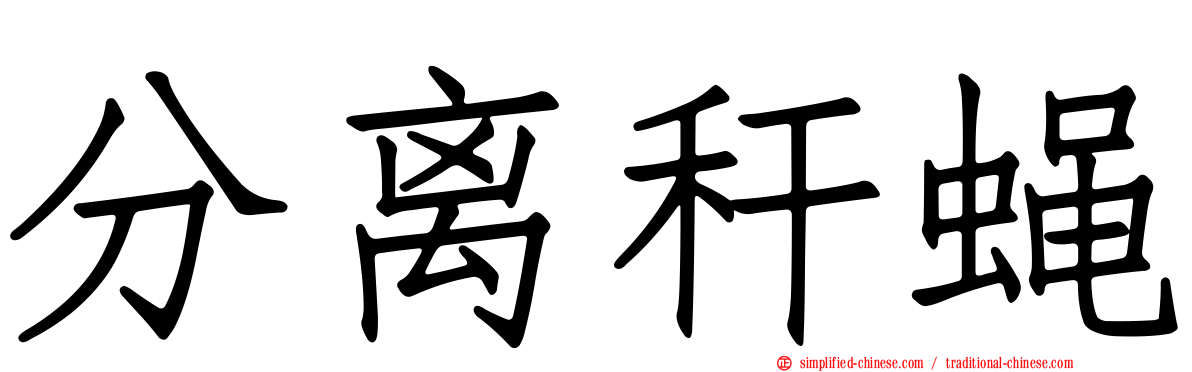分离秆蝇