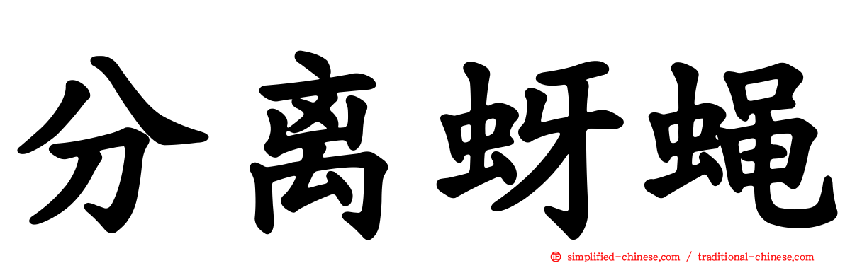 分离蚜蝇