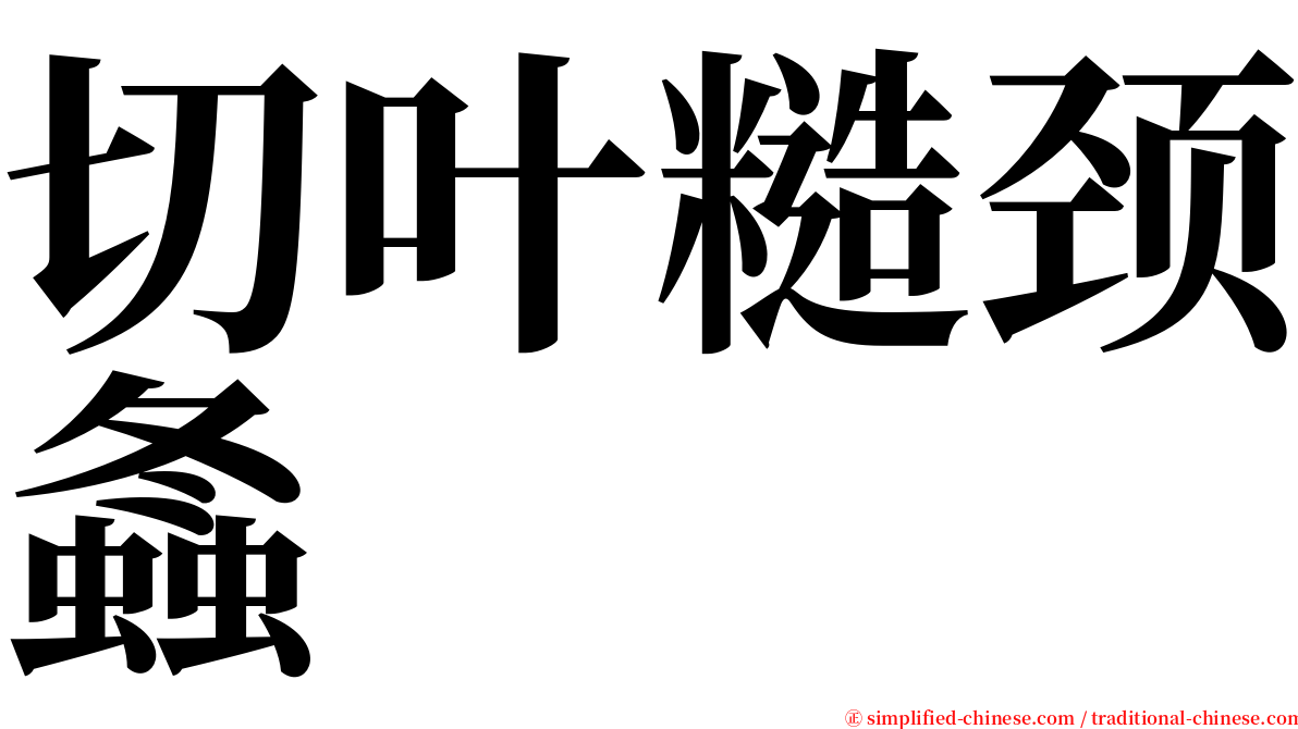切叶糙颈螽 serif font