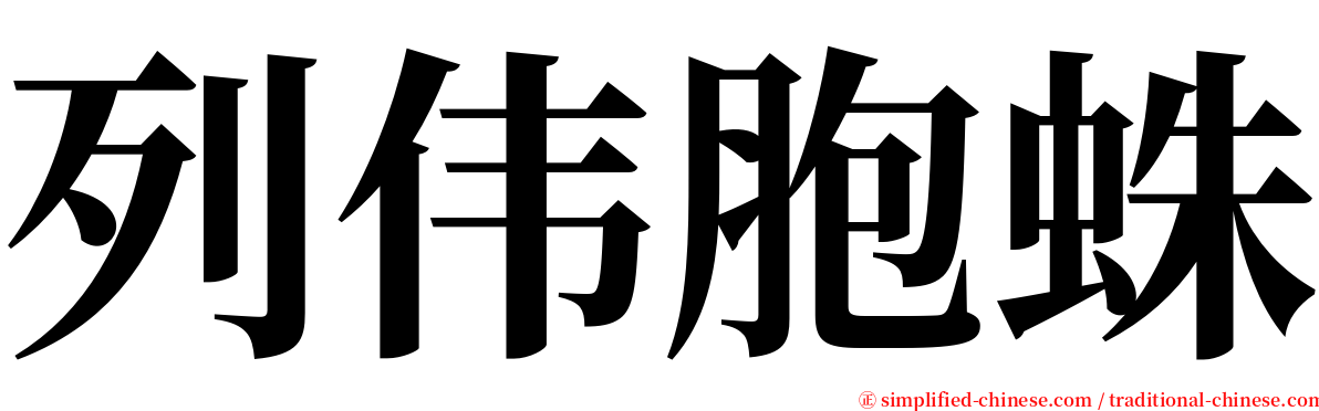 列伟胞蛛 serif font