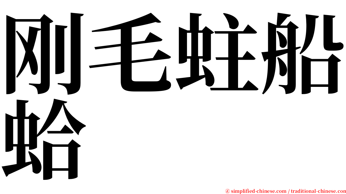 刚毛蛀船蛤 serif font