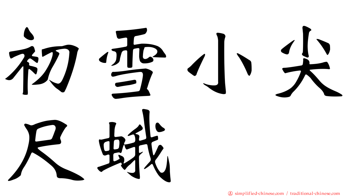 初雪小尖尺蛾