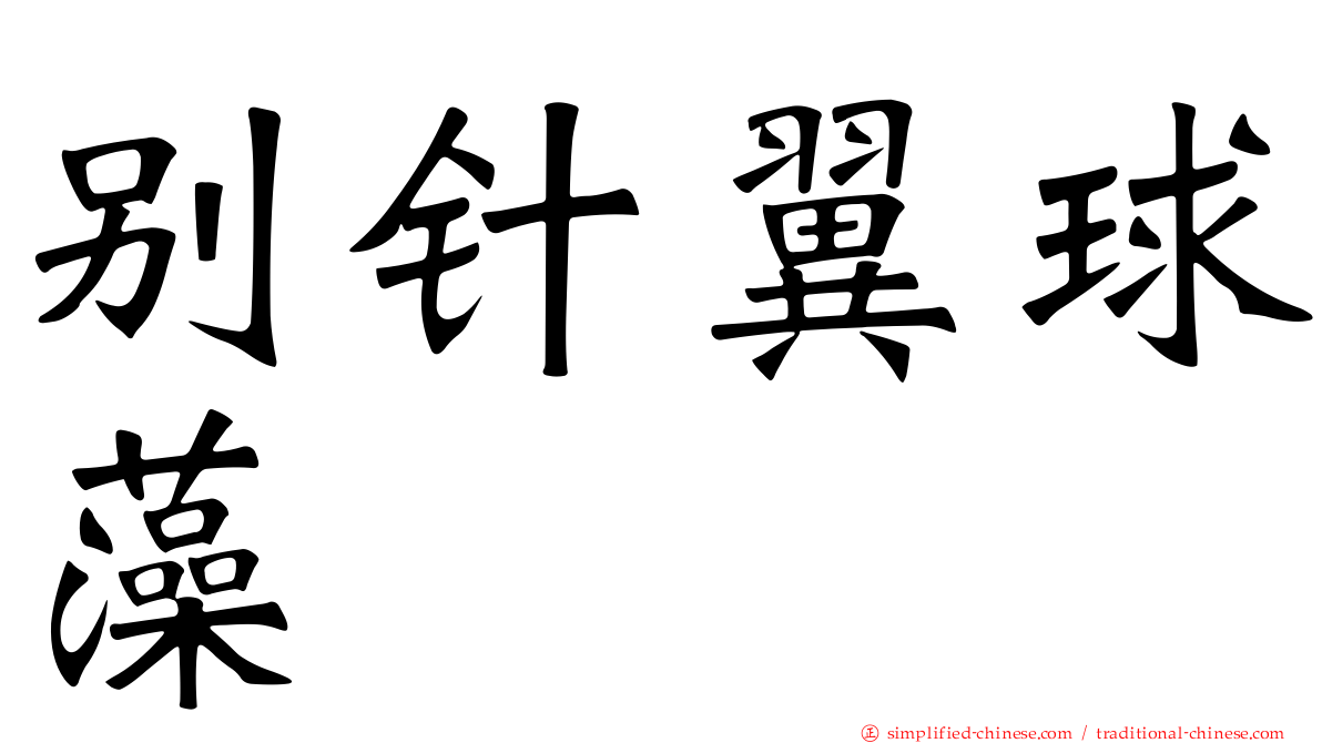 别针翼球藻