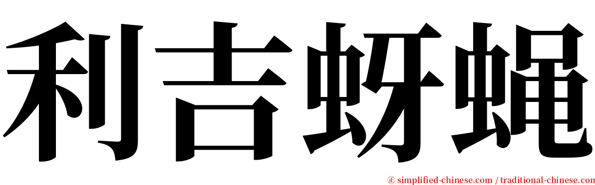 利吉蚜蝇 serif font