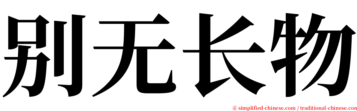 别无长物 serif font
