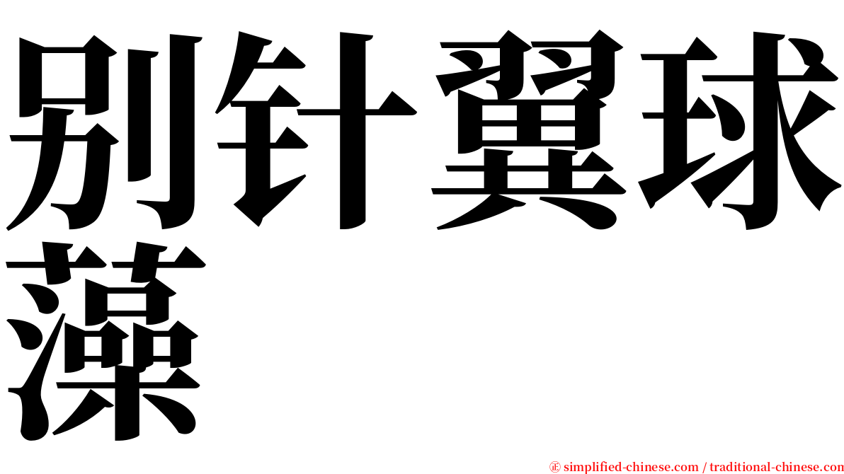 别针翼球藻 serif font
