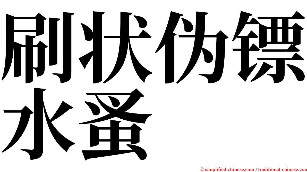 刷状伪镖水蚤 serif font