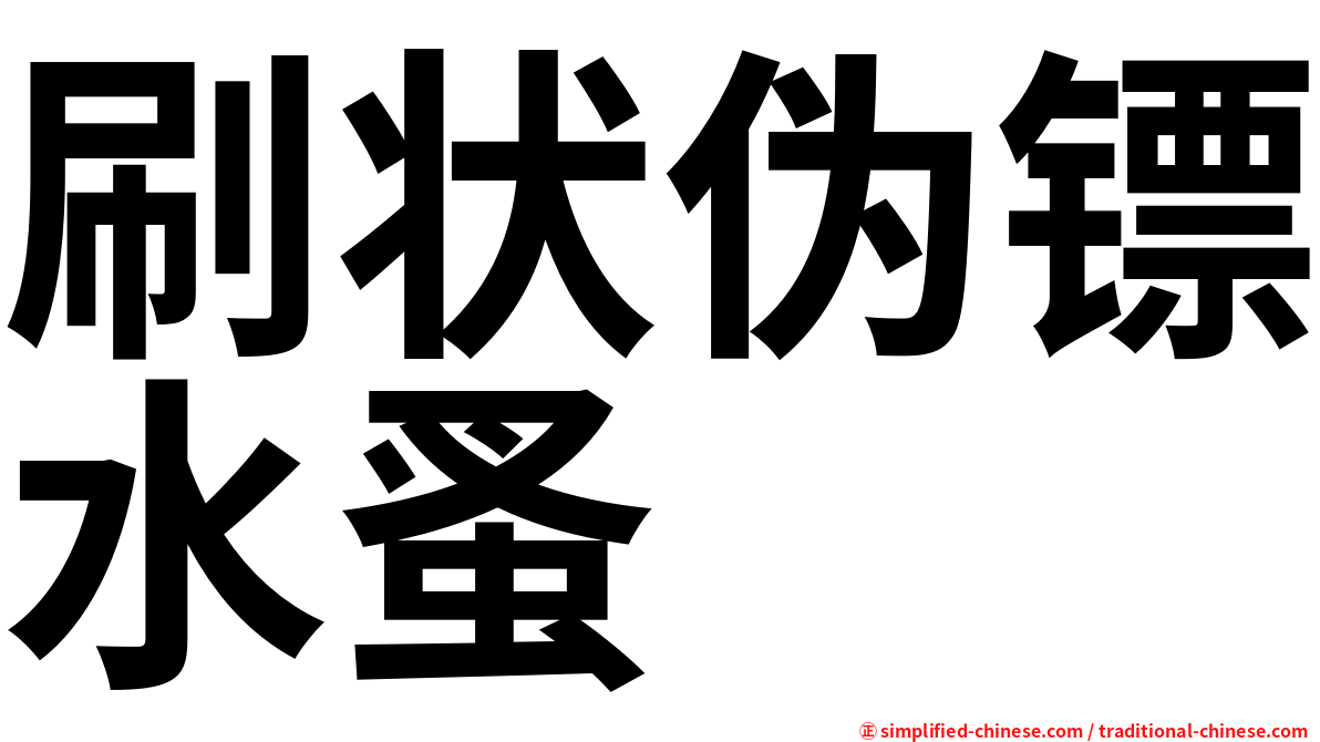 刷状伪镖水蚤