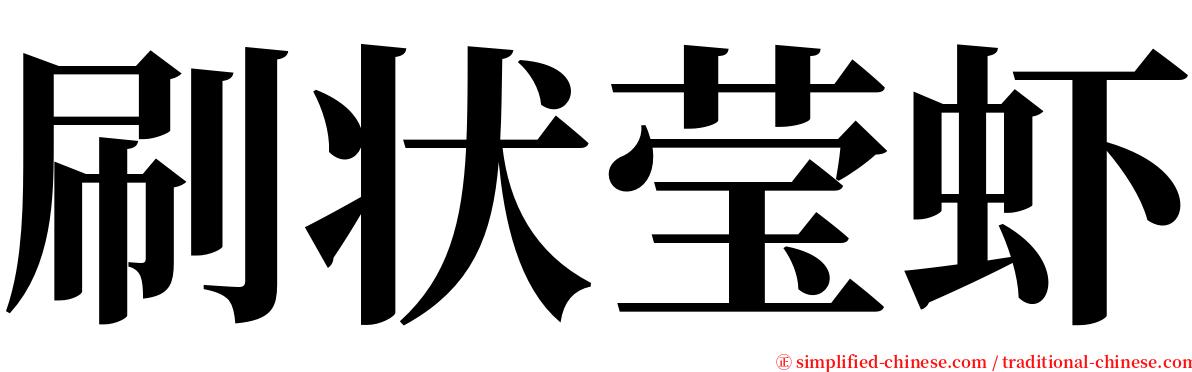 刷状莹虾 serif font