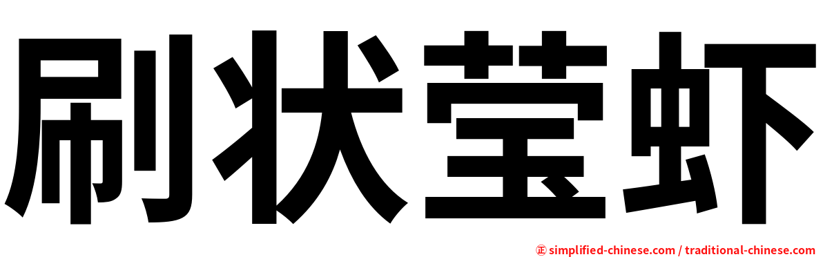 刷状莹虾