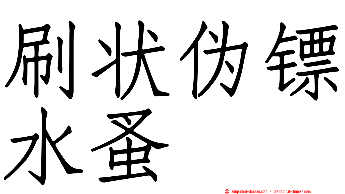刷状伪镖水蚤