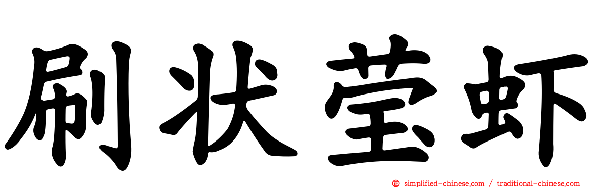刷状莹虾