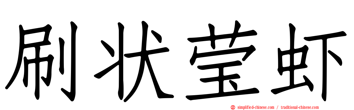 刷状莹虾