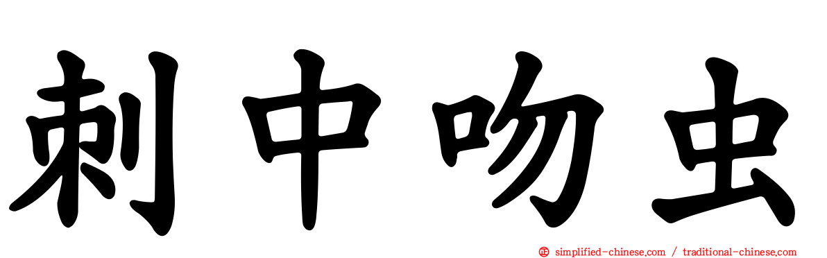 刺中吻虫