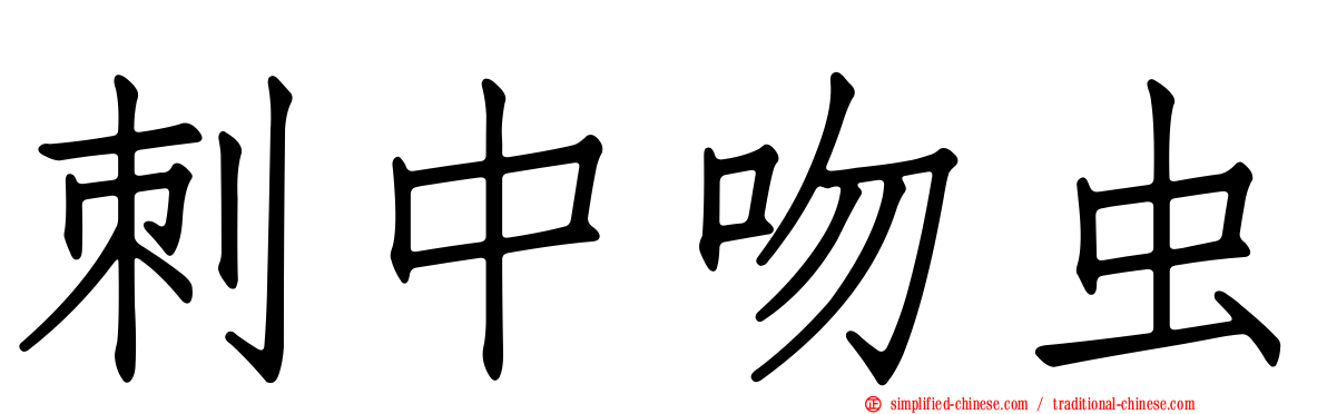 刺中吻虫