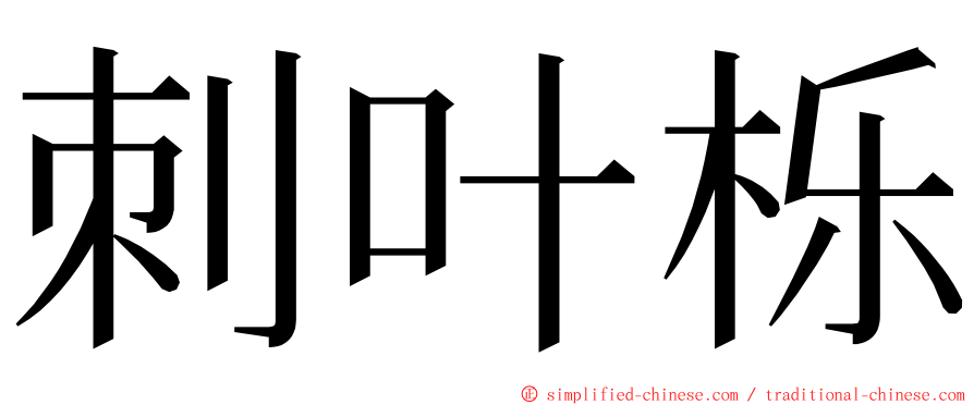 刺叶栎 ming font