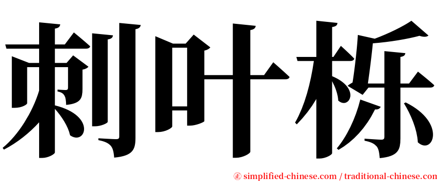 刺叶栎 serif font