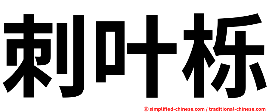 刺叶栎