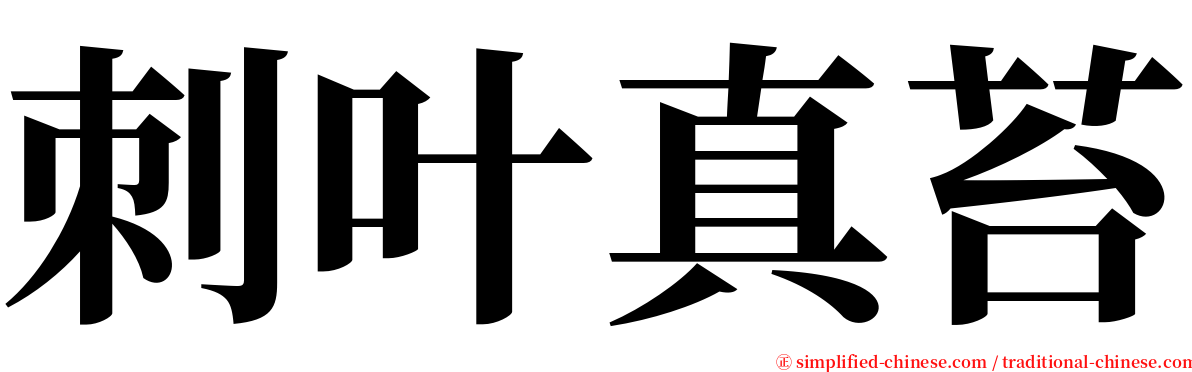 刺叶真苔 serif font