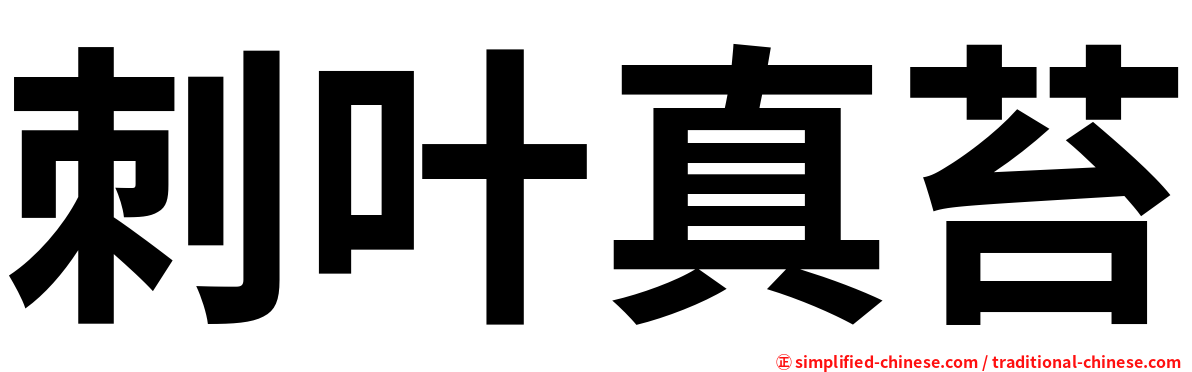 刺叶真苔