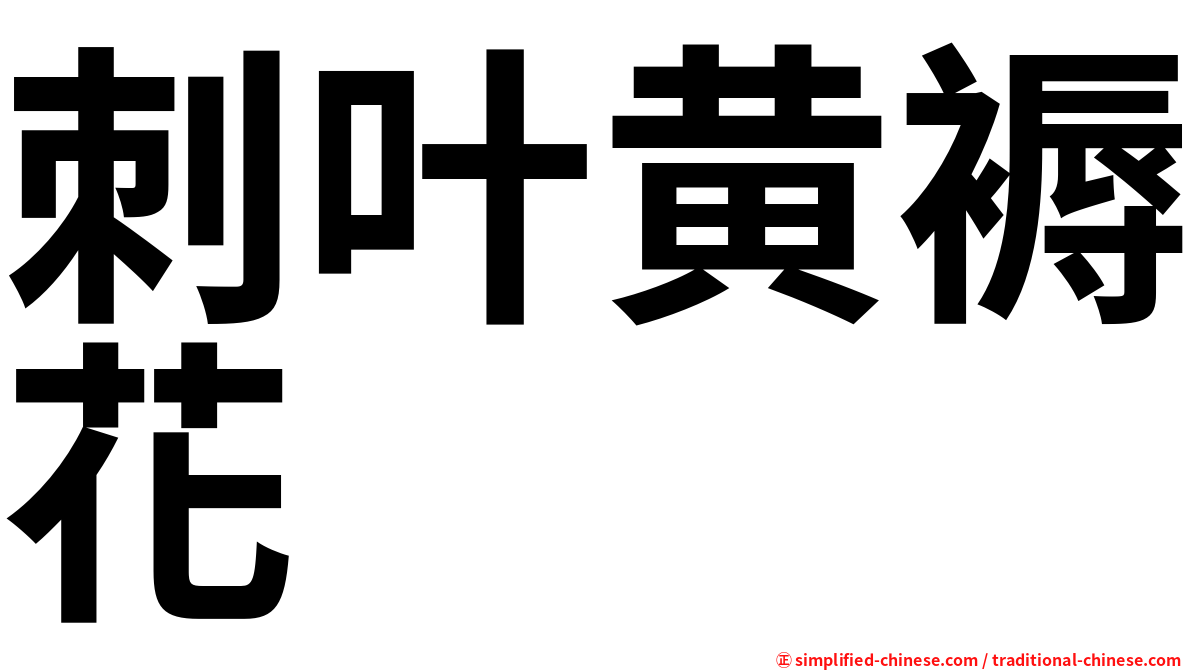 刺叶黄褥花