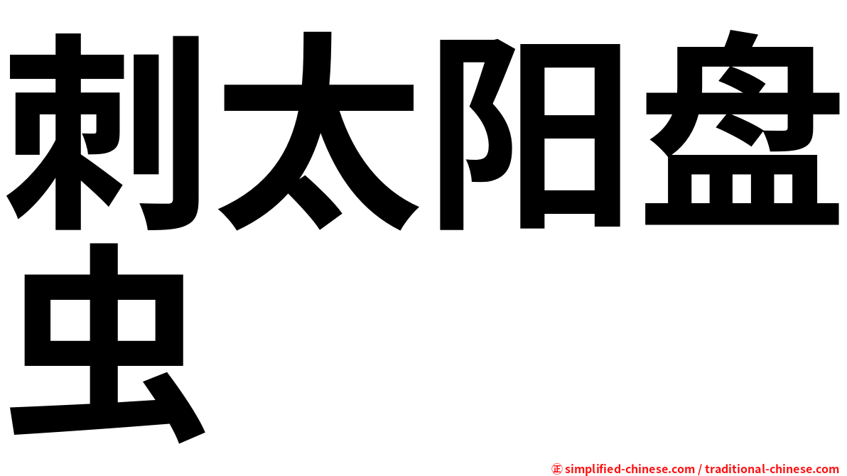 刺太阳盘虫