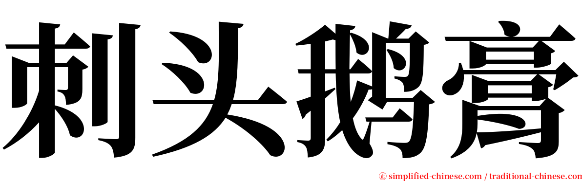 刺头鹅膏 serif font