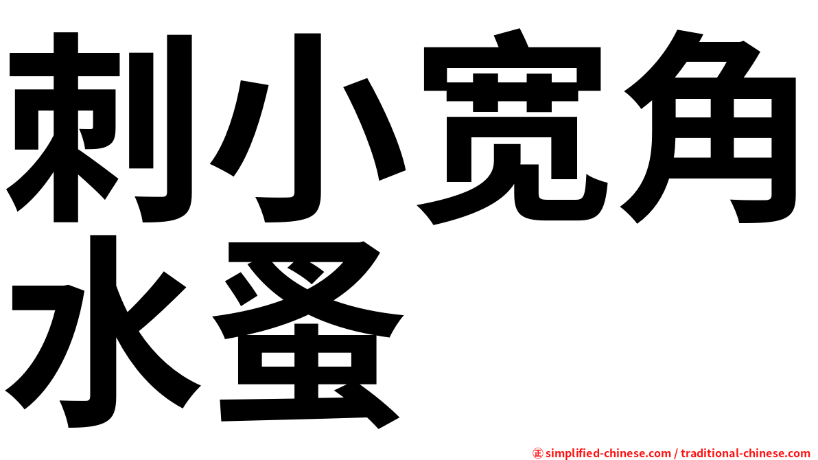 刺小宽角水蚤