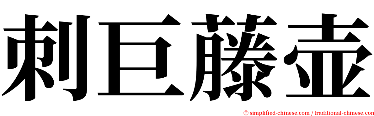 刺巨藤壶 serif font