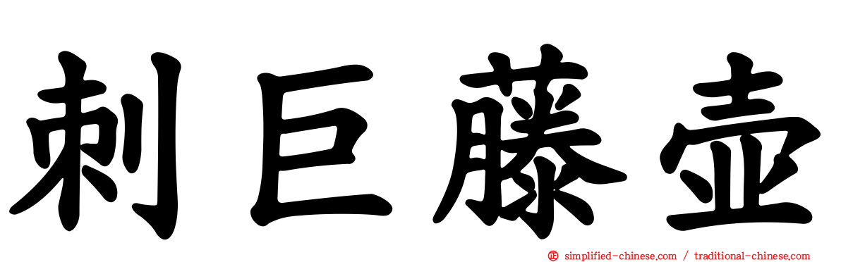 刺巨藤壶