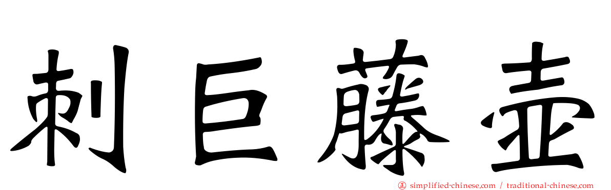刺巨藤壶
