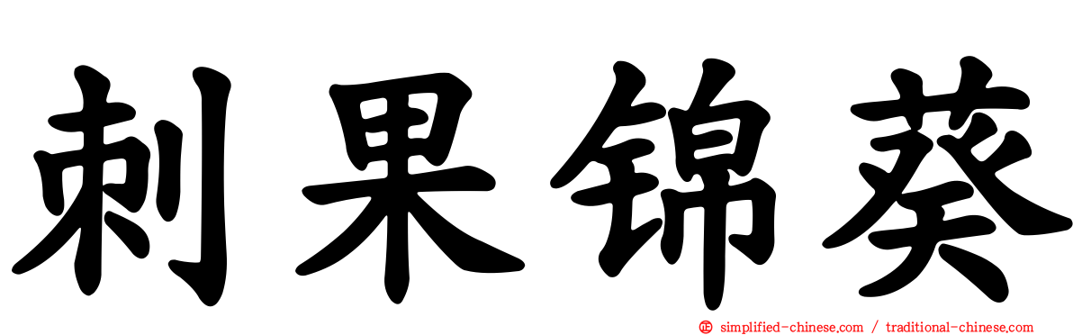 刺果锦葵