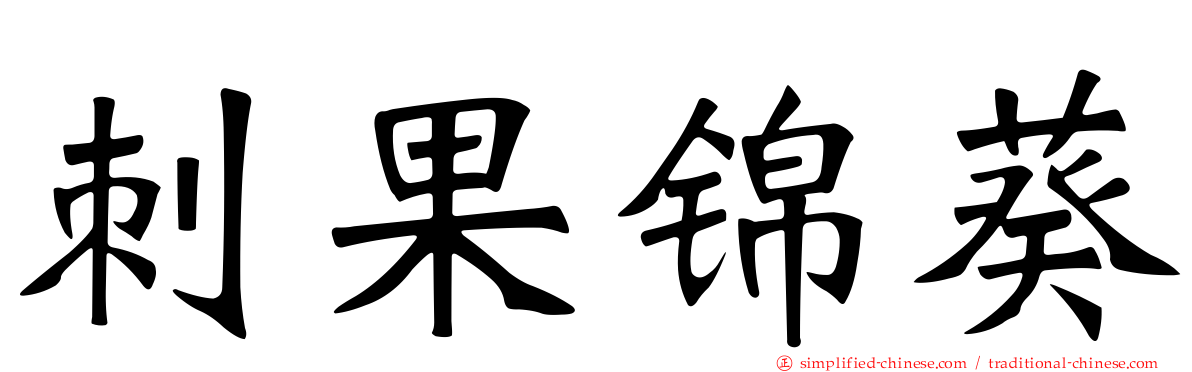 刺果锦葵