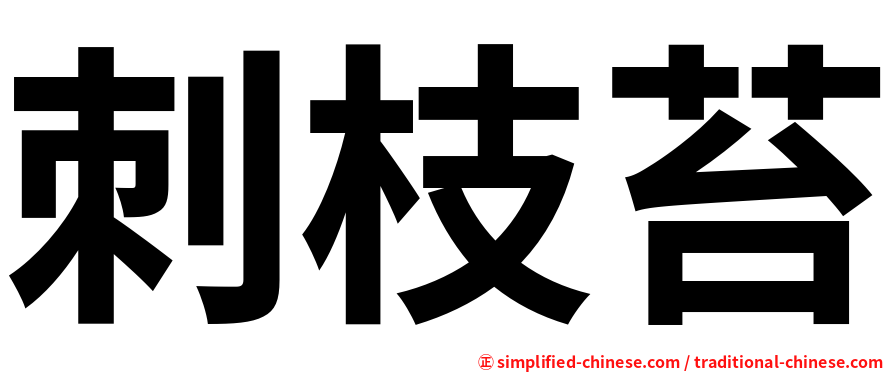 刺枝苔