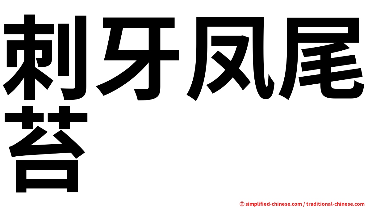 刺牙凤尾苔